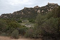 Sartenais, Cala di Roccapina 3.JPG
